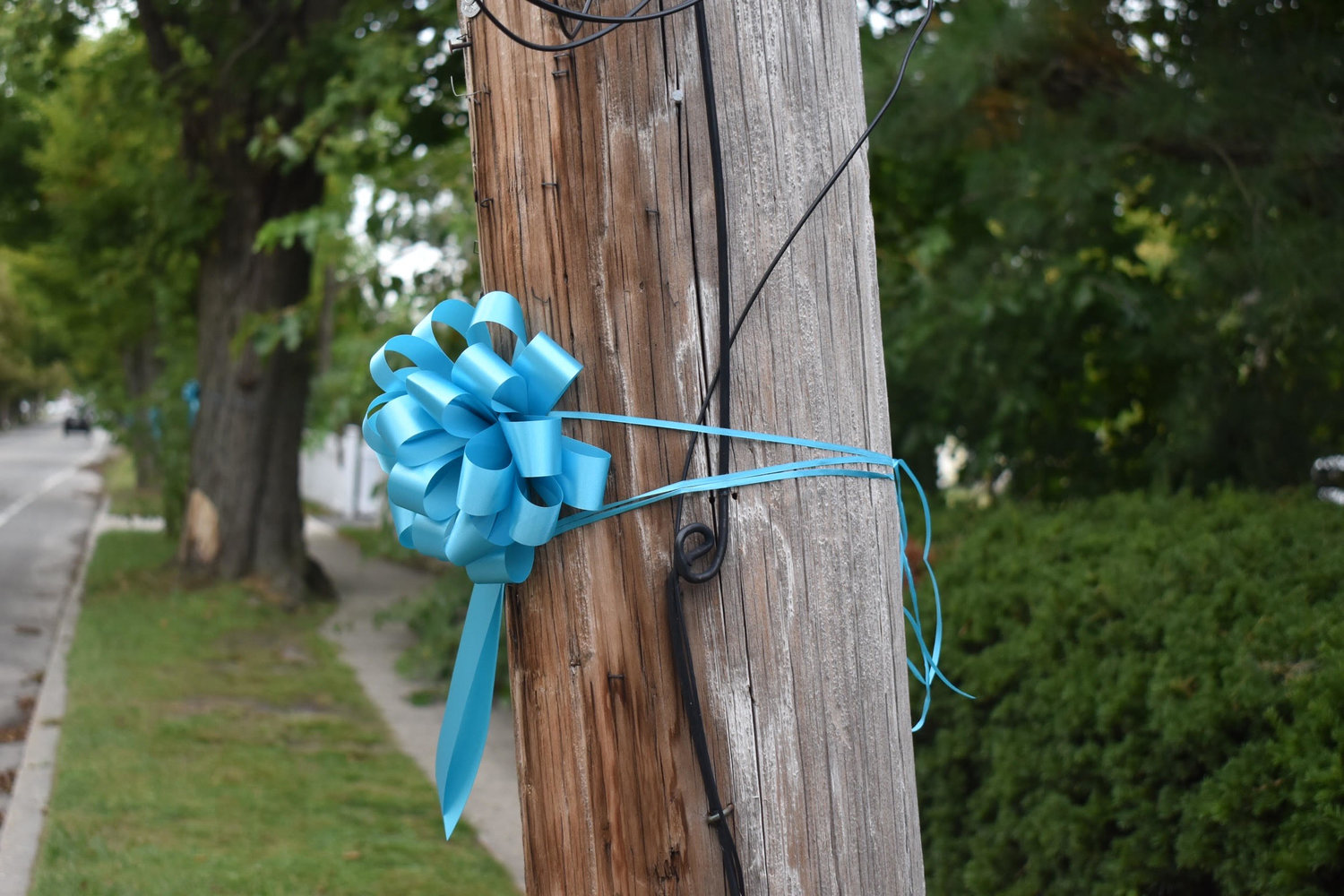 Teal ribbons on Blue Point Avenue. More than 1,500 were hung by Blue Point’s own Johnny Mac Foundation.